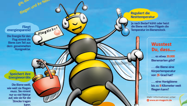 Thumbnail vom Schaubild: Energienutzung von Bienen 